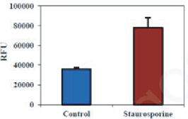 BBI細(xì)胞組學(xué)產(chǎn)品秋冬促銷火熱開啟，放開價(jià)勢無需再等